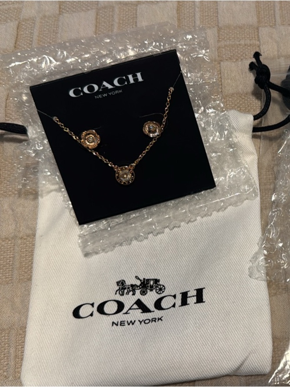 NEW coach necklace and earrings set